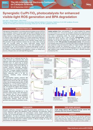 ECCS26 Poster končni.pdf
